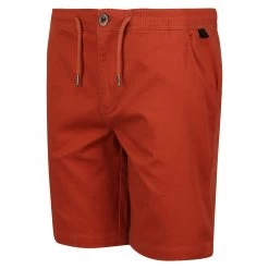 Regatta Men's Albie Shorts - Baked Clay -Fashionable Man albie short baked clay 6