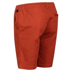 Regatta Men's Albie Shorts - Baked Clay -Fashionable Man albie short baked clay 7