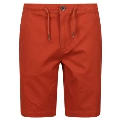 Regatta Men's Albie Shorts - Baked Clay -Fashionable Man albie short baked clay 8