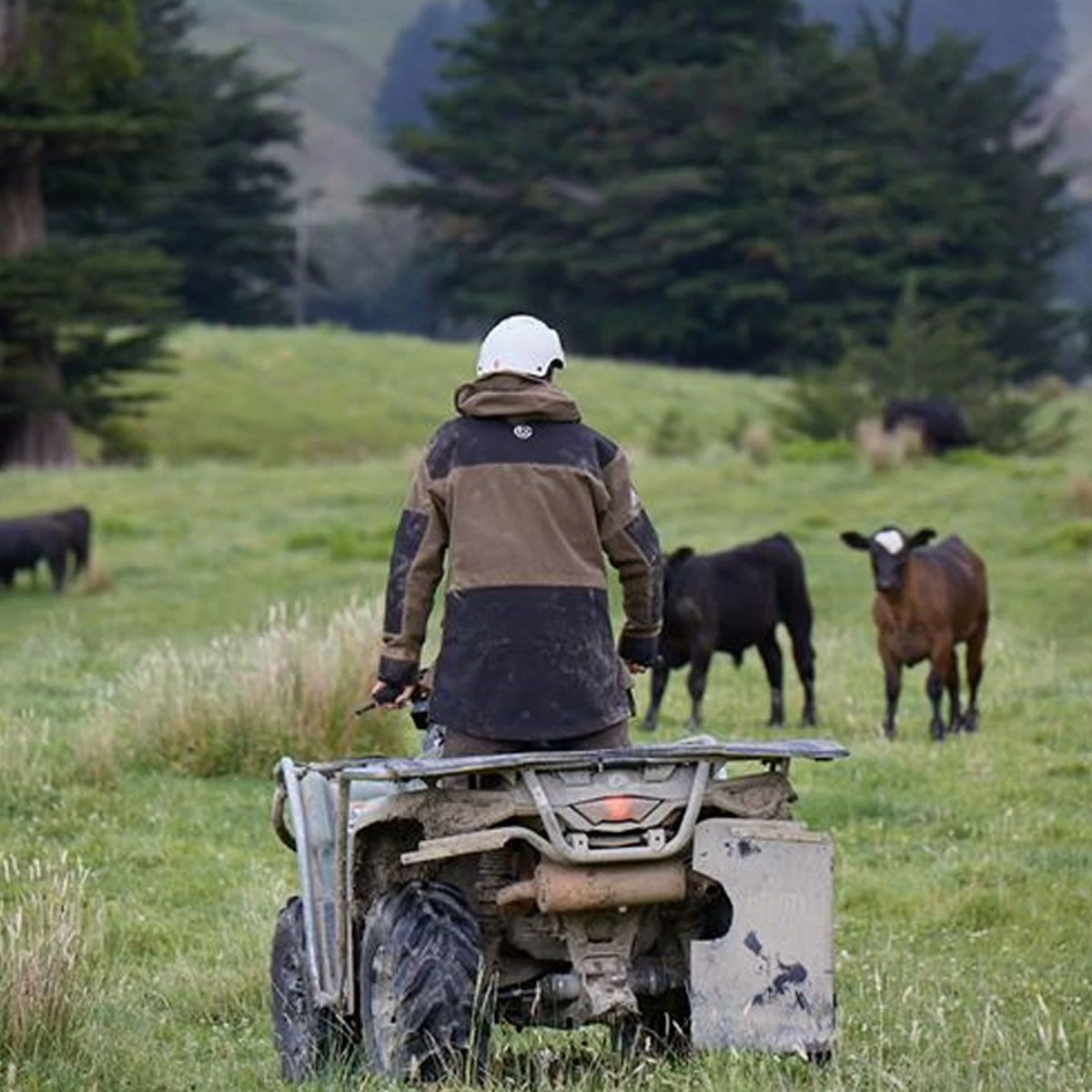 Betacraft Mamaku Jacket - Taupe 7 Betacraft Mamaku Jacket - Taupe - Image 7