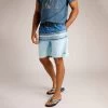 Weird Fish Men's Lucknow Striped Board Shorts - Blue Sapphire