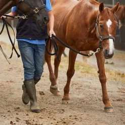 Le Chameau Men's Vierzonord Neoprene Wellington Boots - Vert Chameau -Fashionable Man le chameau men s vierzonord neoprene wellington boots vert chameau 1