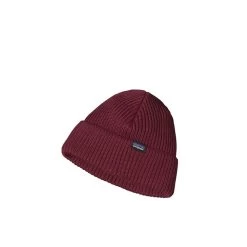 Patagonia Fisherman's Rolled Beanie -Fashionable Man patagonia fishermans rolled beanie p89843 392311 image