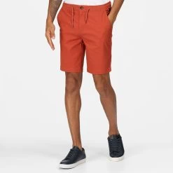 Regatta Men's Albie Shorts - Baked Clay
