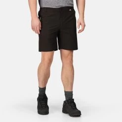 Regatta Men's Highton Shorts - Black