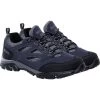 Regatta Men's Holcombe IEP Low Walking Shoes - Navy/Granite